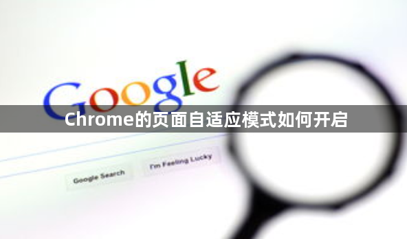 Chrome的页面自适应模式如何开启1