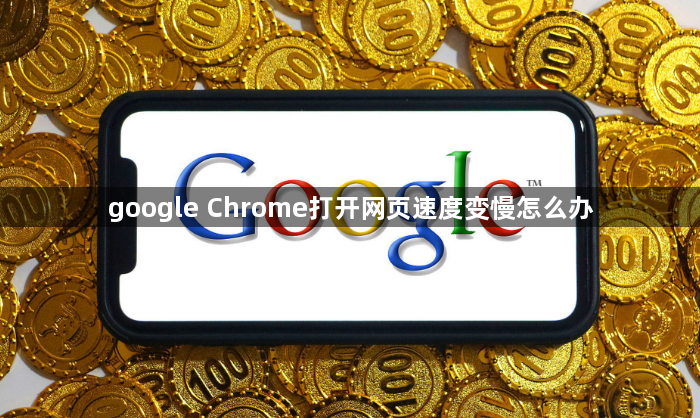 google Chrome打开网页速度变慢怎么办1