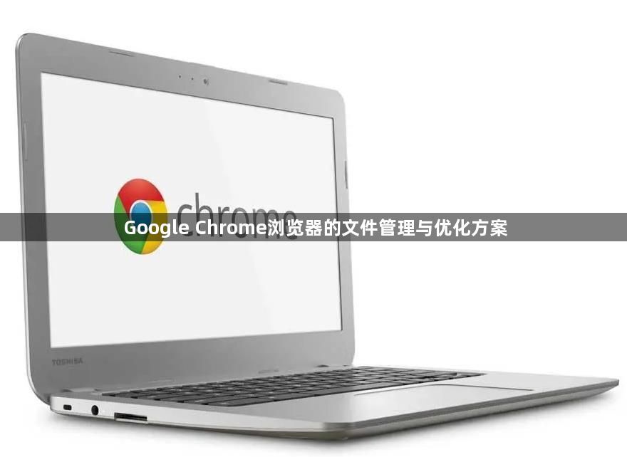Google Chrome浏览器的文件管理与优化方案1
