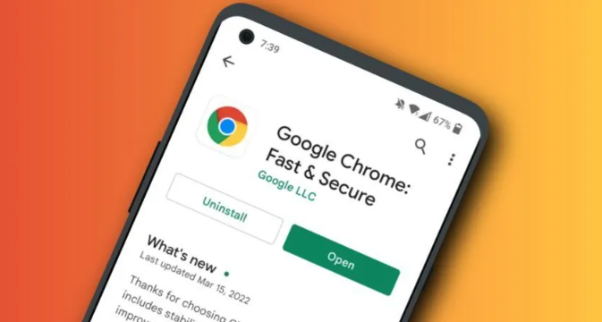 Google Chrome浏览器下载安装包异常处理