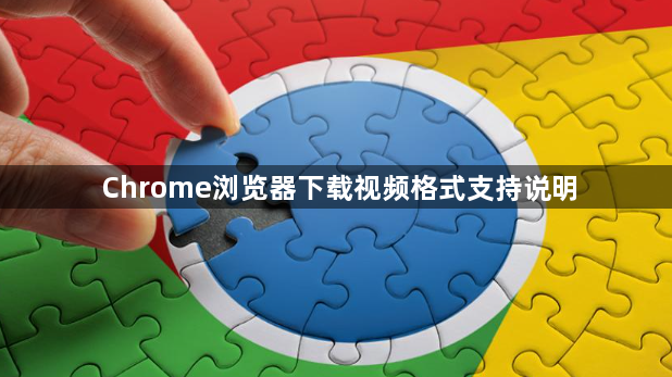 Chrome浏览器下载视频格式支持说明1