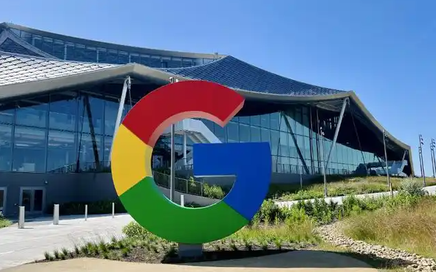 Google浏览器下载并开启插件权限管理