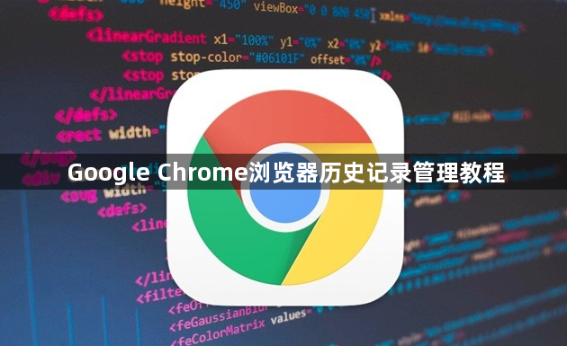 Google Chrome浏览器历史记录管理教程1