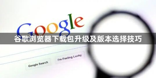 谷歌浏览器下载包升级及版本选择技巧1