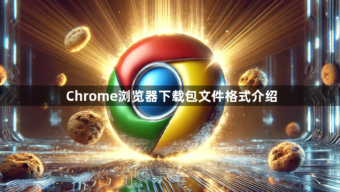 Chrome浏览器下载包文件格式介绍1