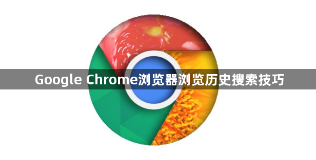 Google Chrome浏览器浏览历史搜索技巧1