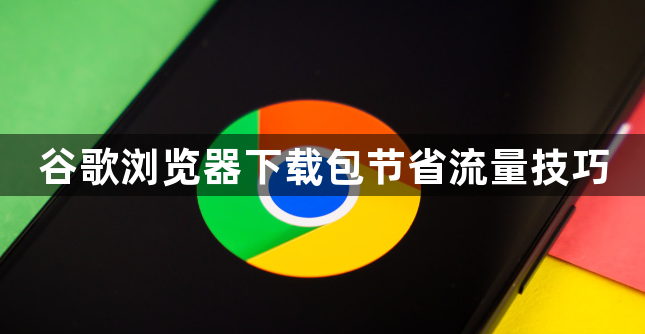谷歌浏览器下载包节省流量技巧1