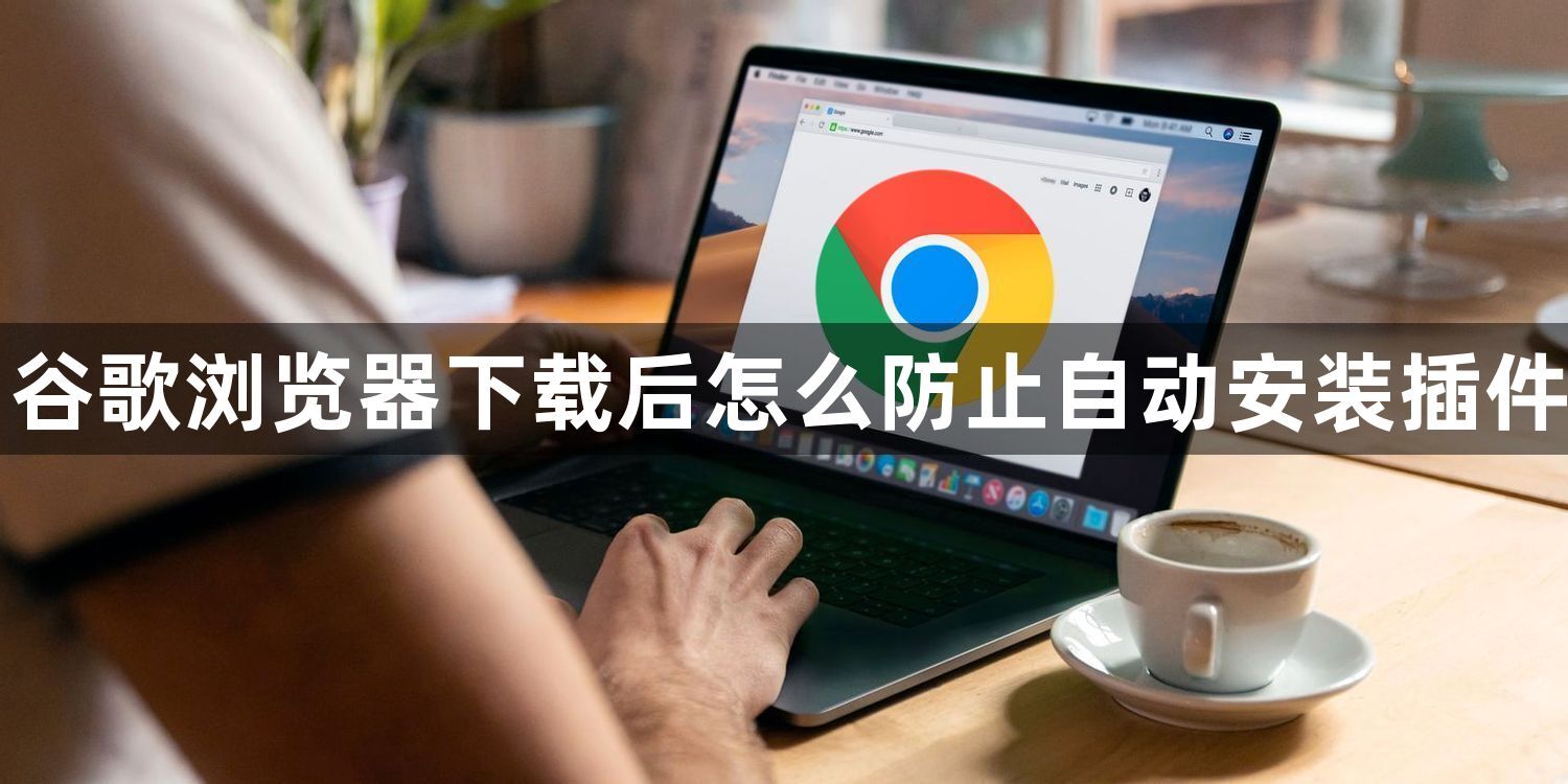 谷歌浏览器下载后怎么防止自动安装插件1