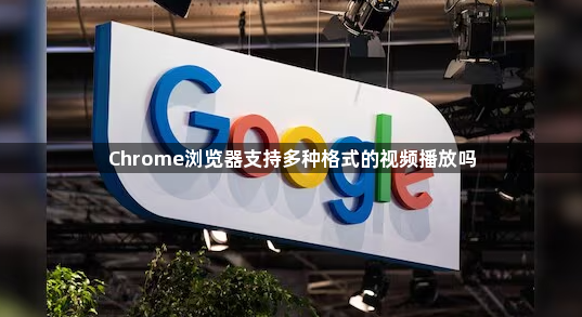 Chrome浏览器支持多种格式的视频播放吗1