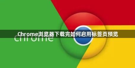 Chrome浏览器下载完如何启用标签页预览1