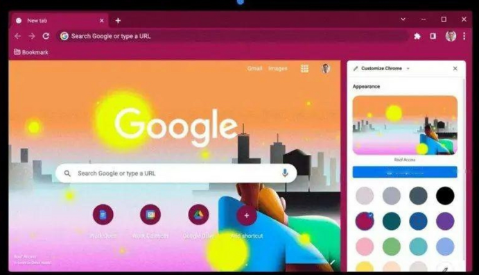 Google Chrome浏览器下载安装包自定义设置教程