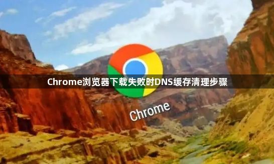 Chrome浏览器下载失败时DNS缓存清理步骤1