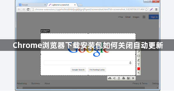 Chrome浏览器下载安装包如何关闭自动更新1