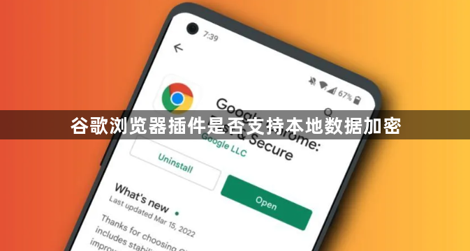 谷歌浏览器插件是否支持本地数据加密1