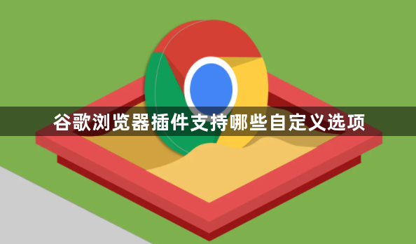 谷歌浏览器插件支持哪些自定义选项1