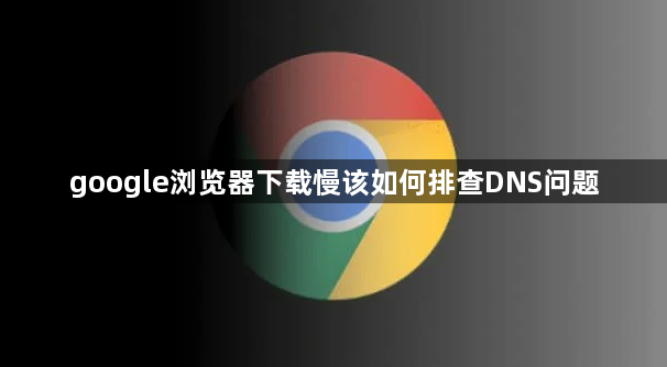 google浏览器下载慢该如何排查DNS问题1