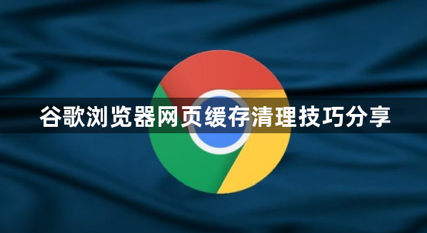 谷歌浏览器网页缓存清理技巧分享1