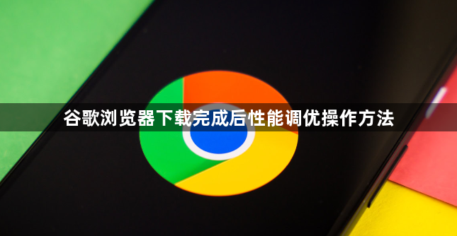 谷歌浏览器下载完成后性能调优操作方法1