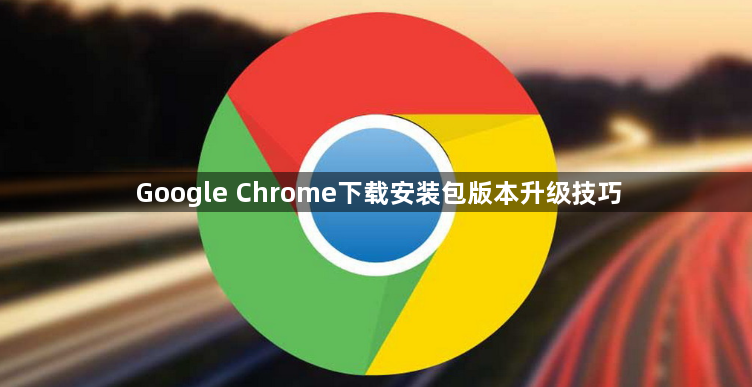 Google Chrome下载安装包版本升级技巧1