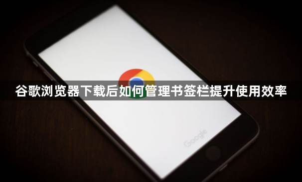谷歌浏览器下载后如何管理书签栏提升使用效率1