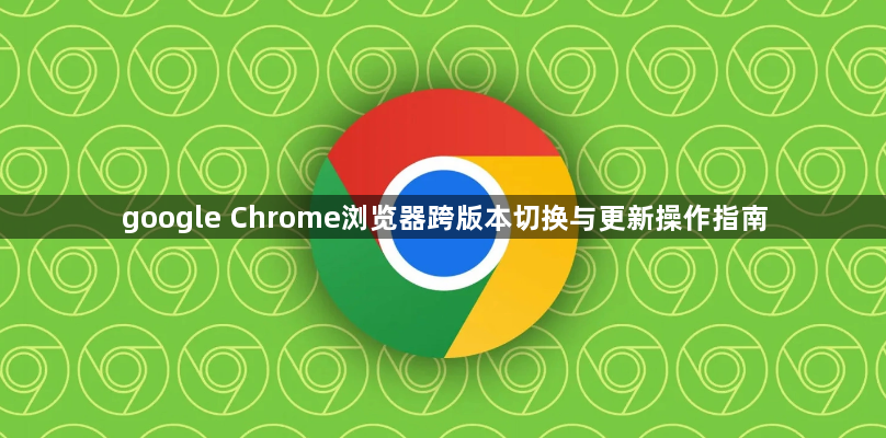 google Chrome浏览器跨版本切换与更新操作指南1