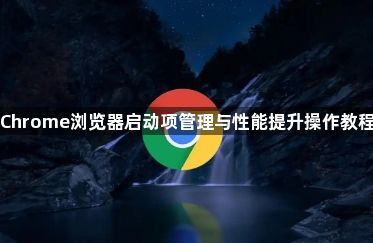 Chrome浏览器启动项管理与性能提升操作教程1