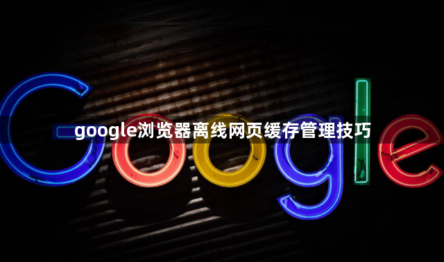 google浏览器离线网页缓存管理技巧1