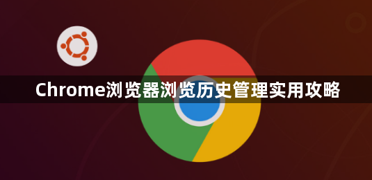 Chrome浏览器浏览历史管理实用攻略1