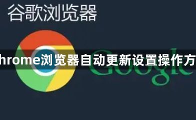 Chrome浏览器自动更新设置操作方案1