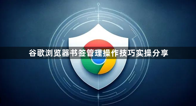 谷歌浏览器书签管理操作技巧实操分享1