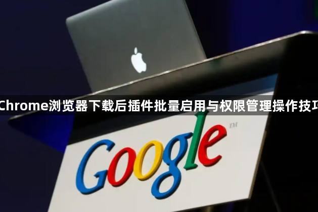 Chrome浏览器下载后插件批量启用与权限管理操作技巧1