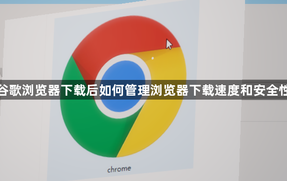 谷歌浏览器下载后如何管理浏览器下载速度和安全性1