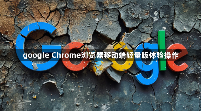google Chrome浏览器移动端轻量版体验操作1